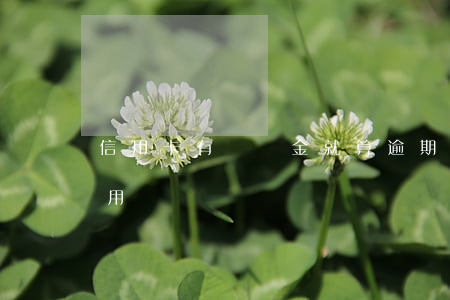 信用卡有滯納金就算逾期 滯納金逾期影響信用嗎