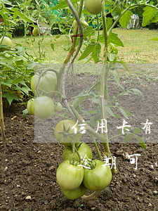 信用卡有當前逾期可以貸款嗎 信用卡有當前逾期可以貸款嗎嗎