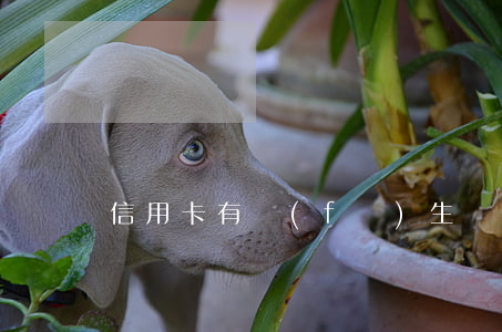 信用卡有發(fā)生過90天逾期