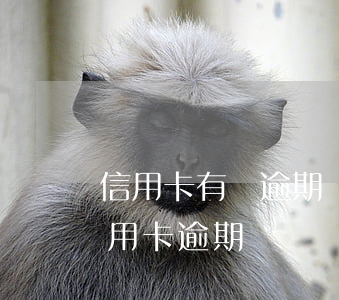 信用卡有筆逾期 個(gè)人征信有一筆信用卡逾期