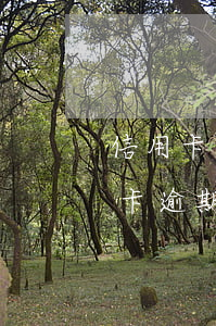 信用卡有誰逾期過(好幾個(gè)銀行信用卡逾期)