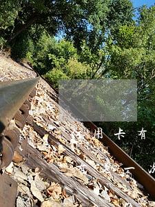 信用卡有过一次逾期还能提额度吗-信用卡有过一次逾期还能提额度吗知乎