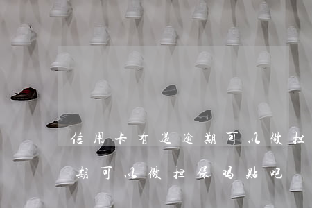 信用卡有过逾期可以做担保吗 信用卡有过逾期可以做担保吗贴吧