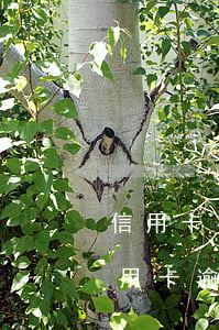 信用卡有过逾期能做抵押贷款吗-本人有信用卡逾期可以用房子抵押贷款吗