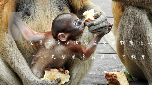 信用卡有过逾期还能涨额度吗(为什么我逾期了一天信用卡就降低了额度?)
