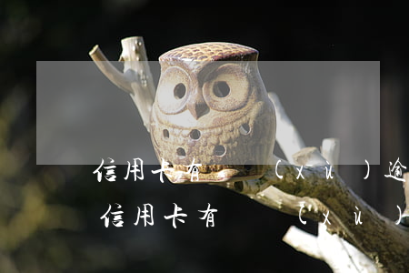 信用卡有連續(xù)逾期記錄怎么還款-信用卡有連續(xù)逾期記錄怎么還款呢