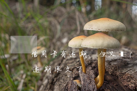 信用卡有逾期.但又過(guò)期(信用卡逾期很久了)