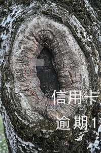 信用卡有逾期10天影響征信嗎-信用卡有逾期10天影響征信嗎怎么辦