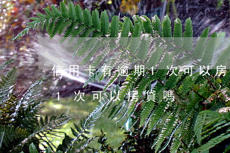 信用卡有逾期1次可以房貸嗎(信用卡有逾期1次可以房貸嗎)