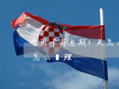 信用卡有逾期3天怎么辦 信用卡有逾期3天怎么辦理