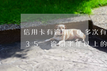 信用卡有逾期40多次(有沒有信用卡10張35萬逾期半年以上的經(jīng)歷)