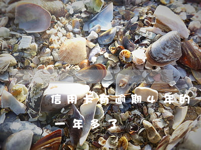 信用卡有逾期4年的嗎-信用卡4千多逾期一年多了