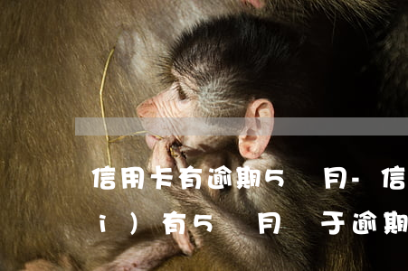 信用卡有逾期5個月-信用卡5年內(nèi)有5個月處于逾期狀態(tài)是什么意思