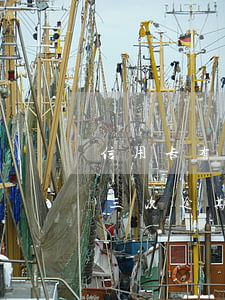 信用卡有逾期6次征信4(征信显示5年内有三次逾期)