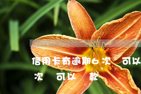 信用卡有逾期6次還可以-信用卡有逾期6次還可以貸款嗎