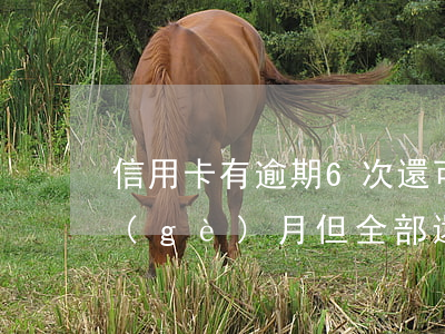 信用卡有逾期6次還可以(信用卡逾期了六個(gè)月但全部還清會(huì)怎么樣)