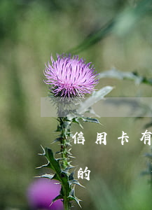信用卡有逾期一定不能貸款嗎 有信用卡逾期的嗎