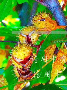 信用卡有逾期不給貸款(有逾期是不是辦不了信用卡)