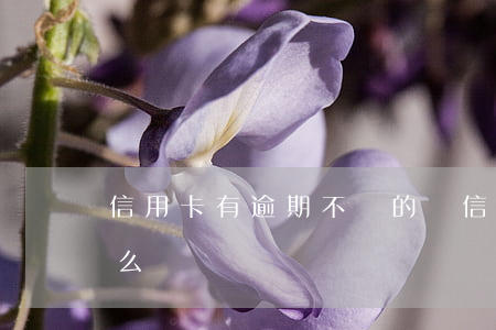 信用卡有逾期不還的嗎(信用卡不還逾期會怎么樣)