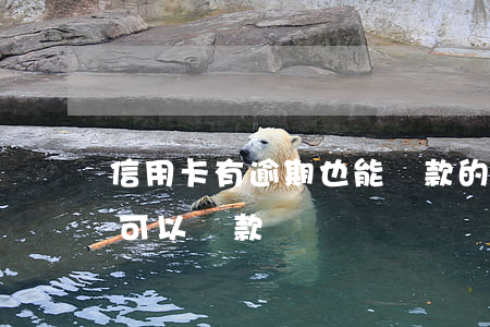 信用卡有逾期也能貸款的口子(有信用卡逾期可以貸款嗎)