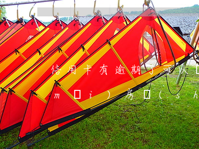 信用卡有逾期了可以買(mǎi)房嗎(買(mǎi)房時(shí)信用卡有逾期怎么辦)