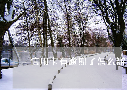 信用卡有逾期了怎么辦理(信用卡逾期怎處理)
