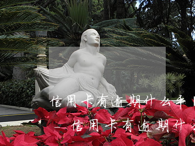 信用卡有逾期什么平臺(tái)可以貸款-信用卡有逾期什么平臺(tái)可以貸款買房