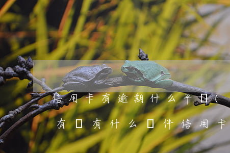 信用卡有逾期什么平臺(tái)可以貸款(有沒有什么軟件信用卡逾期還可以借的?)