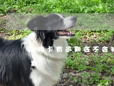 信用卡有逾期会不会被起诉(为什么信用卡逾期)