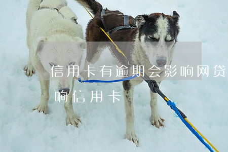 信用卡有逾期会影响网贷么(网贷逾期是否影响信用卡)
