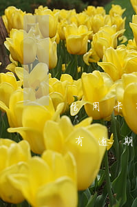 信用卡有逾期会有什么不良结果(信用卡 曾经有逾期 影响)