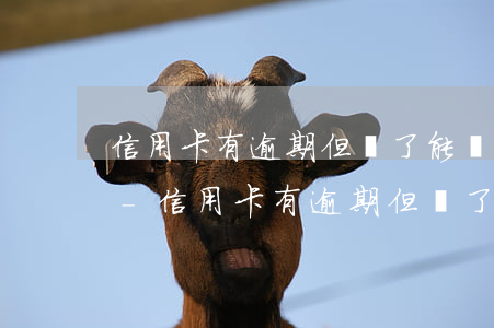 信用卡有逾期但丟了能掛失補(bǔ)辦嗎-信用卡有逾期但丟了能掛失補(bǔ)辦嗎多少錢