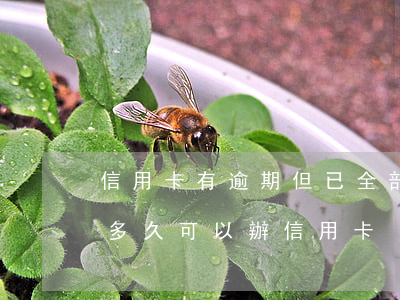 信用卡有逾期但已全部結清(嚴重逾期結清后多久可以辦信用卡)