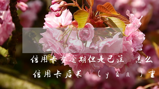 信用卡有逾期但是已注銷怎么辦(逾期后注銷信用卡后果嚴(yán)重)