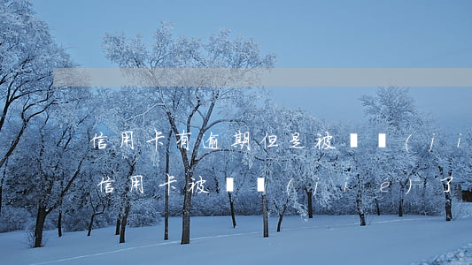 信用卡有逾期但是被凍結(jié)(因逾期信用卡被凍結(jié)了還能解凍嗎)