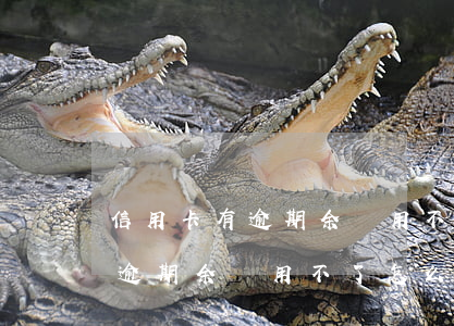 信用卡有逾期余額用不了怎么辦-信用卡有逾期余額用不了怎么辦呢