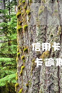 信用卡有逾期佰仟分期可以办吗(分期的信用卡逾期了怎么办)