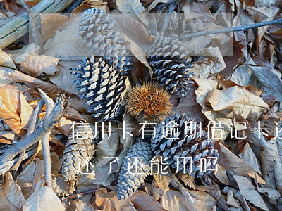 信用卡有逾期借记卡还能用吗(逾期的信用卡还了还能用吗)
