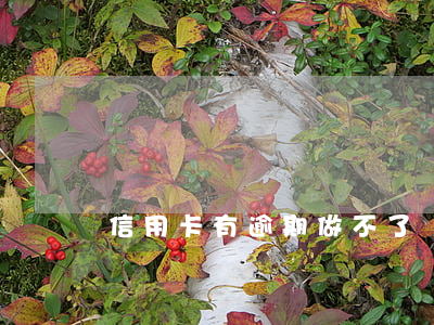 信用卡有逾期做不了車貸嗎(征信逾期做不了車嗎)