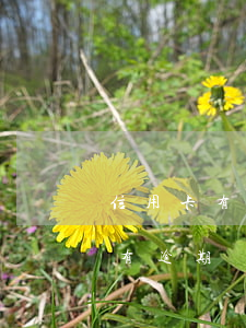 信用卡有逾期兩個月了影響征信嗎-信用卡有逾期兩個月了影響征信嗎怎么辦