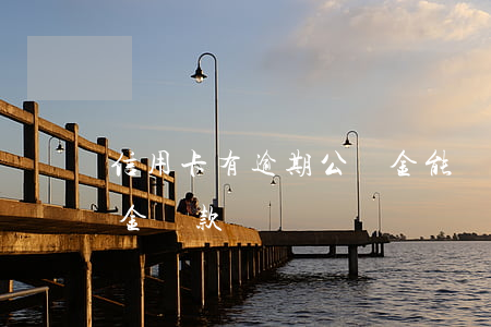 信用卡有逾期公積金能貸款嗎(逾期可以公積金貸款嗎)