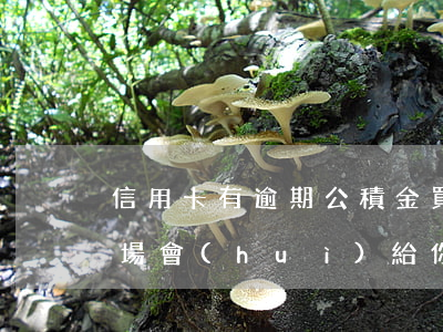 信用卡有逾期公積金買房子當(dāng)場會(huì)給你辦理嗎（信用卡有逾期公積金）