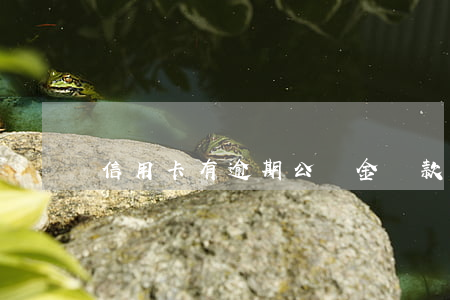 信用卡有逾期公積金貸款