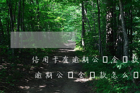 信用卡有逾期公積金貸款怎么辦-信用卡有逾期公積金貸款怎么辦理