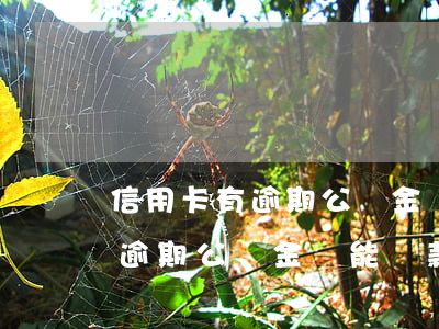 信用卡有逾期公積金還能貸款嗎-信用卡有逾期公積金還能貸款嗎