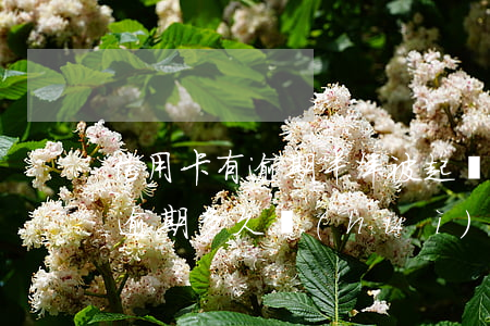 信用卡有逾期半年被起訴的嗎(欠銀行信用卡逾期多久會(huì)被起訴)