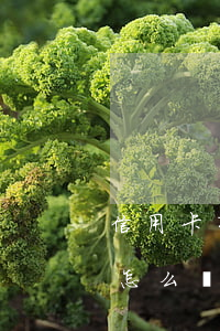 信用卡有逾期又消了戶怎么辦(信用卡 逾期了怎么辦)