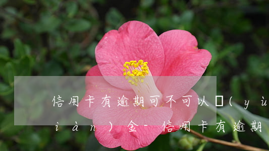信用卡有逾期可不可以預(yù)借現(xiàn)金-信用卡有逾期可不可以預(yù)借現(xiàn)金呢