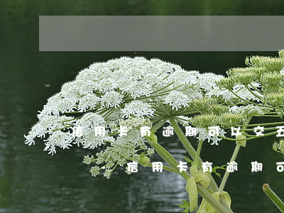 信用卡有逾期可以交五險(xiǎn)一金嗎-信用卡有逾期可以交五險(xiǎn)一金嗎