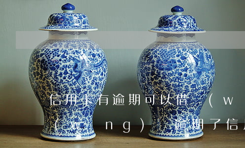 信用卡有逾期可以借網(wǎng)貸嗎(網(wǎng)貸逾期了信用卡還可以用嗎)